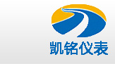 金湖蜜桃视频APP下载免费下载儀表有限公司LOGO