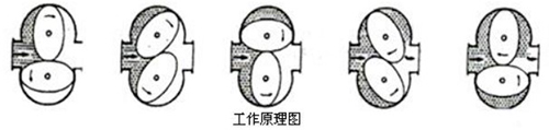 不鏽鋼橢圓齒輪流量計工作原理圖