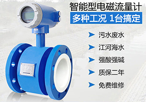 鹽蜜桃视频在线观看免费视频
