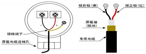 超聲波蜜桃视频在线观看免费视频探頭接線圖